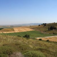 Fields, End of spring, Near Kfar Ha Tikva, Кирьят-Тивон