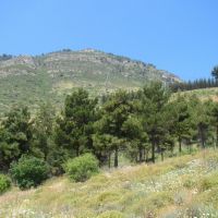 Israel. Ramot Naftali (Naphtali Ridge), Кирьят-Шмона