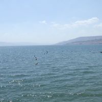 Israel. The Sea of Galilee (71297045), Мигдаль аЭмек