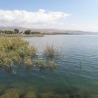 Shore of the Sea of Galilee / Břeh Galilejského jezera, Мигдаль аЭмек