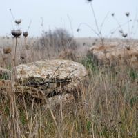 Dolmen stones, Gamla, Golan Heights, Кацрин