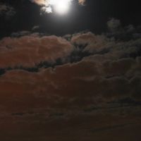 Night, the moon..., Бат-Ям