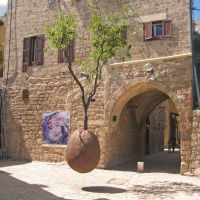 Old Jaffa: suspended orange tree, Бат-Ям