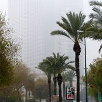 A misty morning in Tel Aviv: a view of the Azrieli Center from Derech Namir, Гиватаим