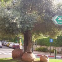 NICE PLACE IN GIVATAYIM-ISRAEL, Рамат-Ган