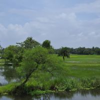 Green Bengal Countryside, Байдьябати