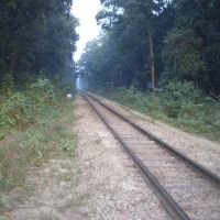 Metre Gauge Track, near Mailani Junction, Балли