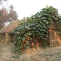 A hut near Mailani, Балли