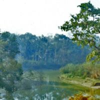 A Terai Stream in Dudhwa National Park, Балли