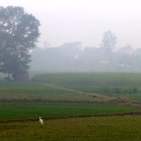 Foggy Landscape, Балли