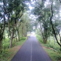Road to Mukutmanipur dam, Банкура