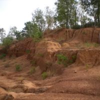 Red Soils of Birbhum, West Bengal, Банкура