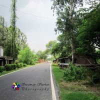 Usthi Netra Road, Netra, South 24 Parganas, W. B., Бхатпара