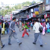 Darjeeling in the Market, Даржилинг