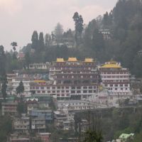 Darjeeling, Buddhist Monastery, Даржилинг