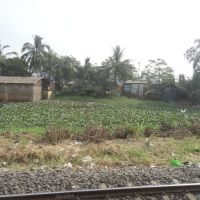 Agarpara, View from Train, Камархати