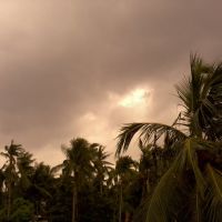 Monsoon of Bengal, Камархати