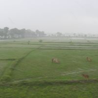 Downpour Blur, Кхарагпур