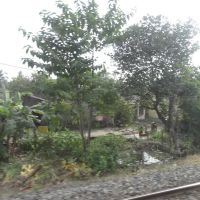 Sodpur to Khardaha, Панихати
