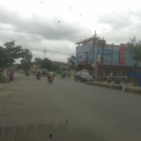 rinis_nest, Биласпур