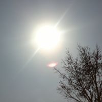 Rays of sun, Мангалор
