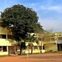 Vidhya Bharthi School, Раичур