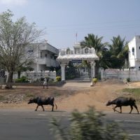 Sai Baba Mandiram, Jagarlamudi Vari Palem, Andhra Pradesh 523261, India, Анакапал