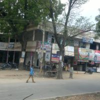 KR Palli, Chittoor, Andhra Pradesh, India, Читтур