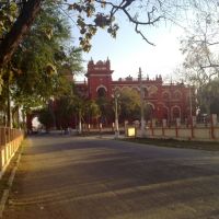 Road to LAkshmivilas Palace, Дарбханга