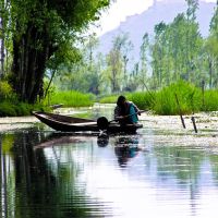 Kashmir boat woman, Сринагар