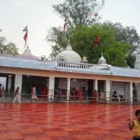 Badi Devi Ji  Mandir (Bhuan), Дамох
