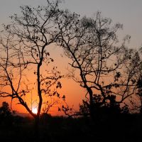 Sun set, Кхандва