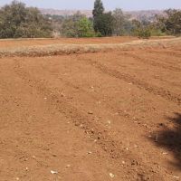 Farm Bunds for Soil and Water Conservation, Акола