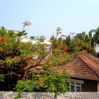 greenery and old house @ kolhapur, Колхапур