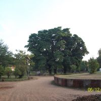 Mahaveer Garden Kolhapur, Колхапур