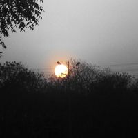 sun with street lamp, Колхапур