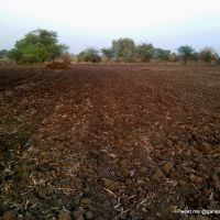 Black regur soil, Малегаон
