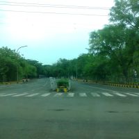 Tree lined road near Seminery Hills, Nagpur, Maharashtra, Нагпур