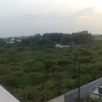 EVERGREEN FOREST OF NANDURBAR!, Нандурбар