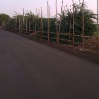 QUE LINE CONSTRUCTION FOR  VITTALA EKADASI CELEBRATIONS, Пандхарпур