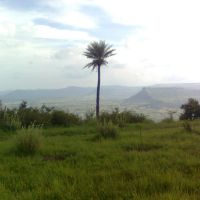 भारतभर पसरलेल्या मराठी साम्राज्याची राजधानी, अजिंक्यतारा. Fort Ajinkyatara, Diffrent view of the same tree, Different hills at background., Сатара