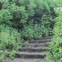 Steps towards green earth..., Сатара