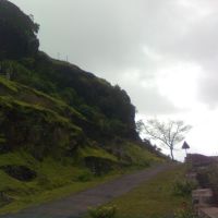 Rock cap of Fort Ajinkyatara and a beautiful dry tree in the rainy season., Сатара