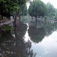 Is this Park or Lake?? in Rain, Лудхиана