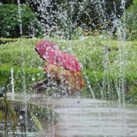 cleaning the fountain at Saheliyon ki bari, garden, Удаипур