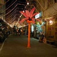 happy Diwali, Удаипур
