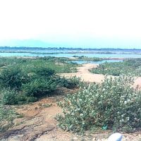 Kaveri river near Trichy, Бодинэйакканур