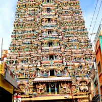 Western Entrace of Minakshi Temple, Madurai, Мадурай
