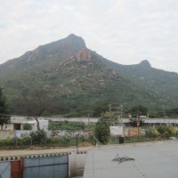 Arunachala Hills, Tiruvannamalai, Tamil Nadu, Тируваннамалаи