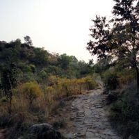 Way between Ramanashramam & Skandashramam2, Тируваннамалаи